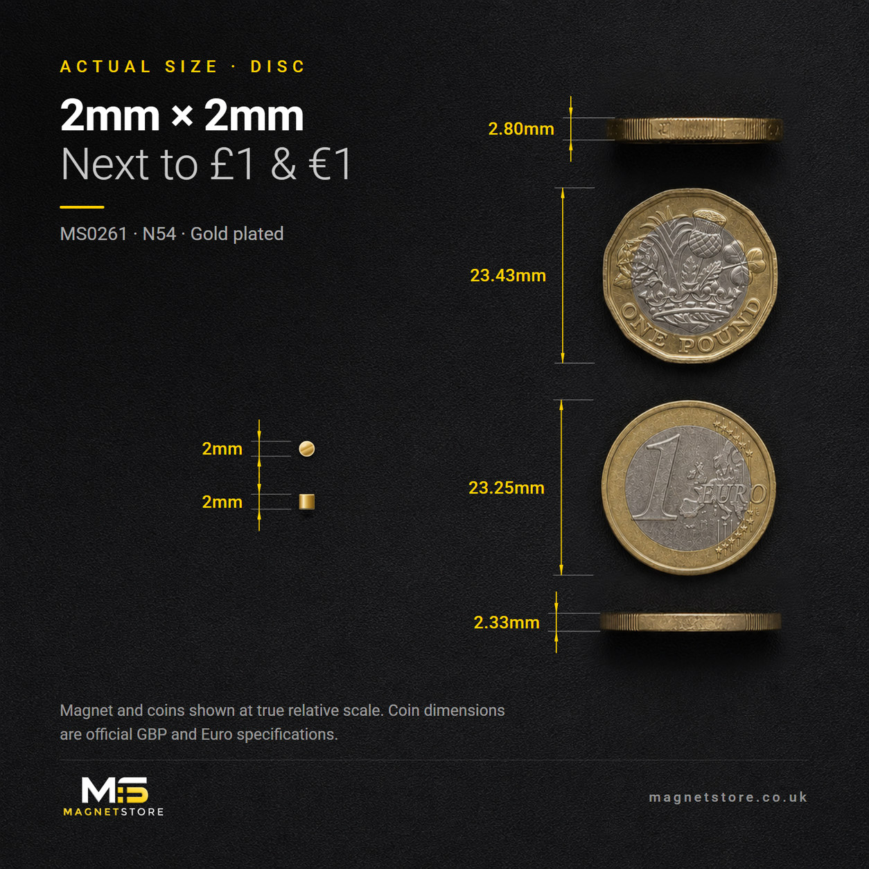 2mm x 2mm gold plated disc magnet, shown at actual size beside a UK one pound coin and a one euro coin for scale