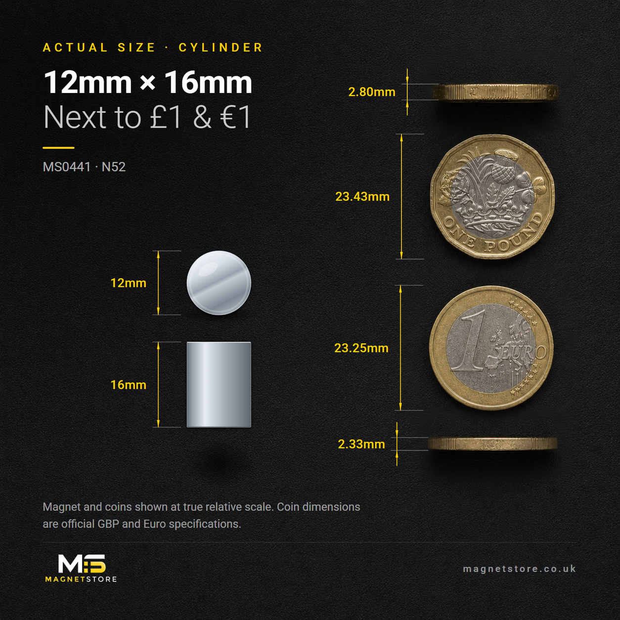 12mm x 16mm cylinder magnet, shown at actual size beside a UK one pound coin and a one euro coin for scale